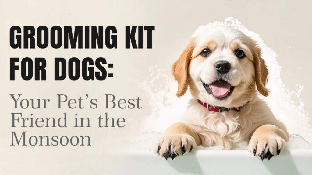 Best grooming kit for dogs