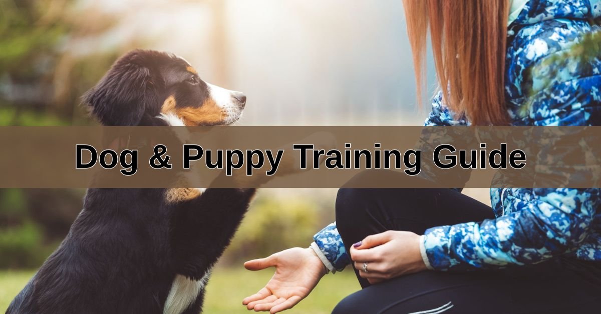Dog & Puppy Training Guide
